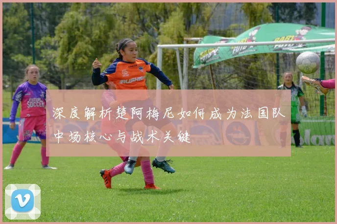 深度解析楚阿梅尼如何成为法国队中场核心与战术关键