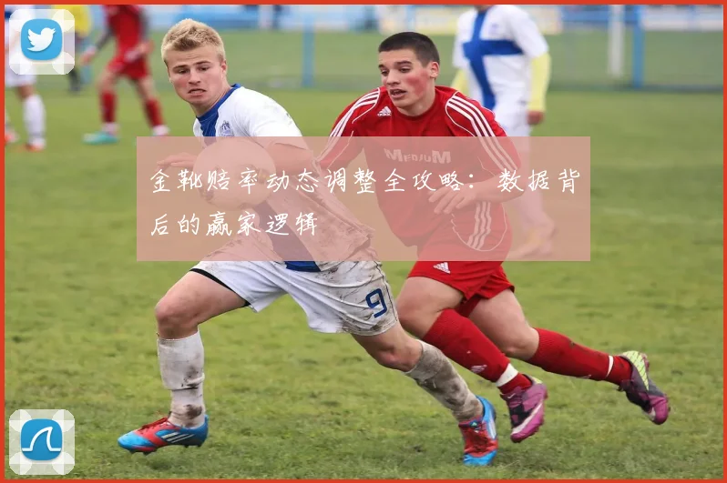 金靴赔率动态调整全攻略：数据背后的赢家逻辑