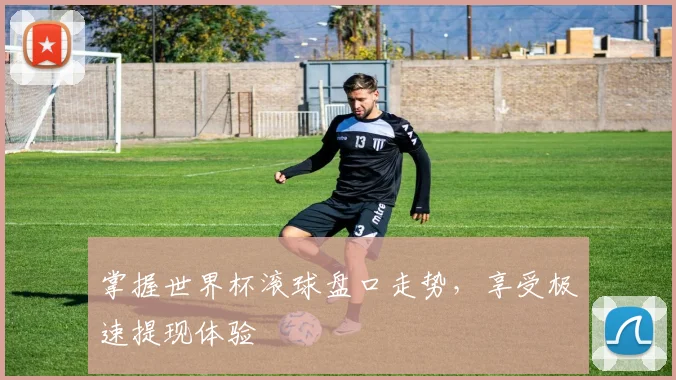掌握世界杯滚球盘口走势，享受极速提现体验